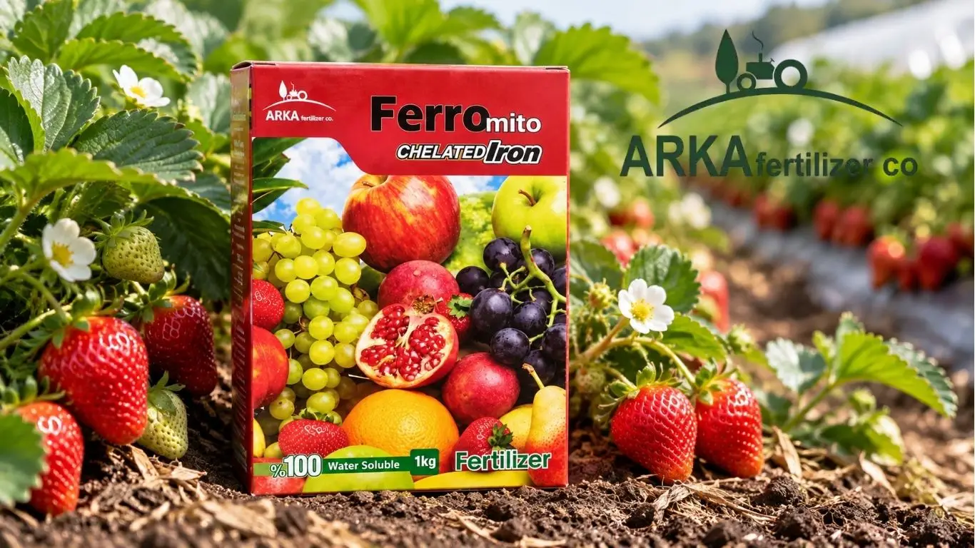 کود کلات آهن ۶ درصد فرومیتو برای توت فرنگی خرید از تولید کننده