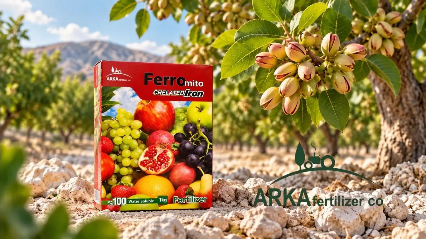 کود کلات آهن برای پسته در خاک آهکی خرید از تولید کننده
